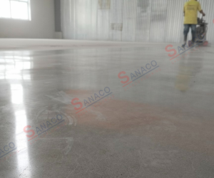 Project   : ĐẠI VIỆT