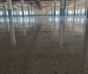 Project   : GESIN  - Phase III (Thi công mài bóng bê tông lộ muối tiêu)