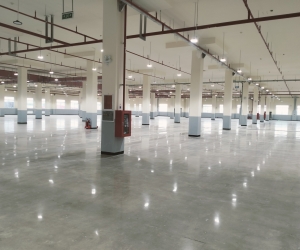 Project   : GESIN  - Phase III (Thi công mài bóng bê tông lộ muối tiêu)
