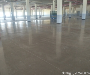 Project   : GESIN  - Phase III (Thi công mài bóng bê tông lộ muối tiêu)