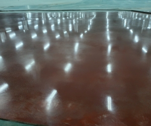 Project: NOK (Phase III) - Liquid Hardener - Mài bóng bê tông (12.000 m2)